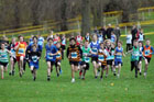 Blue start, North East Harrier League.